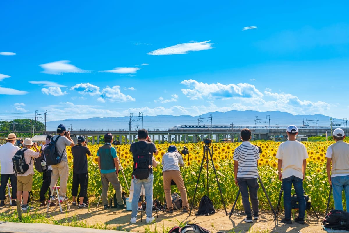 Fotografieren in Japan