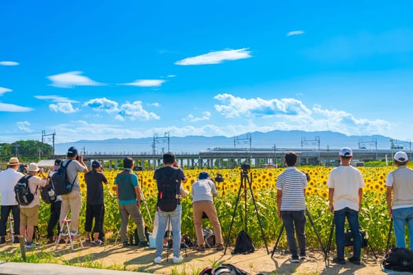 Fotografieren in Japan